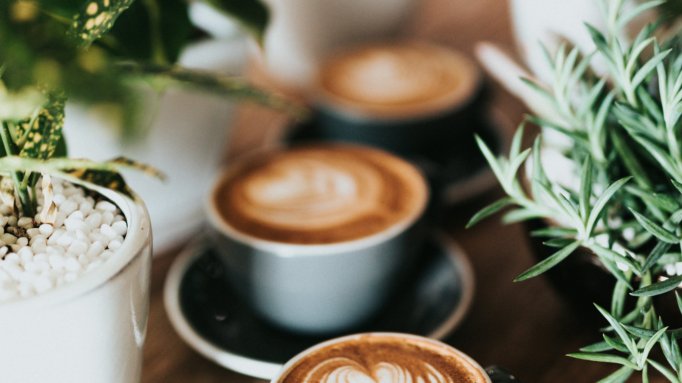 Test Cafe – Titelbild